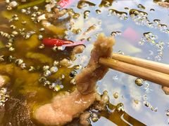 青花椒兔子肉-有红鸡毛店·川菜(建设路店)