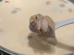 煲宫养生猪肚鸡（中份）-煲宫猪肚鸡(昆山金鹰国际购物中心店)