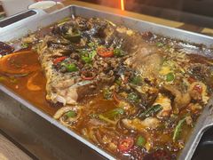 -鱼酷活鱼烤鱼(静安大融城店)