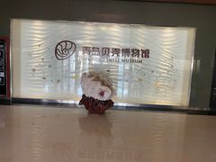 -青岛贝壳博物馆