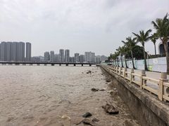 -观澳平台
