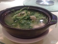 鸡毛菜砂锅-新南华大酒店(广中店)