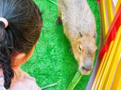 -麦当劳(新世纪环球中心店)