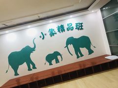 -能量小象·感统·专注力·语言(崂山校区)