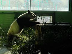 -石家庄市动物园