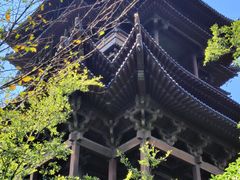 -杭州半山国家森林公园