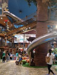 -卡通尼·Safari非洲探索乐园·生日会(金桥国际商业广场店)