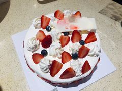 -维尔纳斯·生日蛋糕动物奶油冰淇淋蛋糕(人大店)