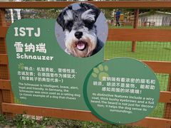-盈香心动乐园