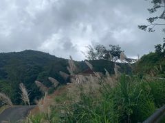 -龙岩森林水乡景区