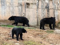 -泉州海丝野生动物世界