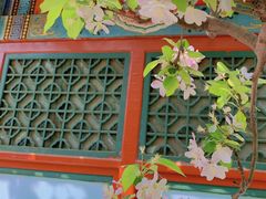 -海棠花溪(元大都城垣遗址公园)