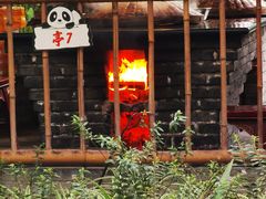 -土灶人家柴火鸡(都江堰店)