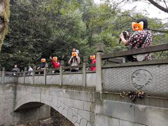 -中国大熊猫保护研究中心雅安碧峰峡基地