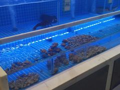 -悦海·家宴·冰花皮皮虾大锅贴(宝龙店)