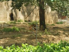 -秦皇岛野生动物园