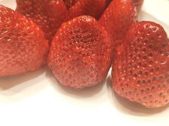 -逐鹿·古风·湘菜馆(望京店)