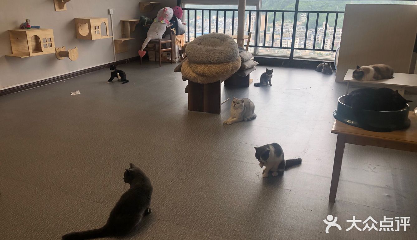 臭脸大哥/臭脸小妹，其实巨粘人