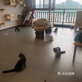 臭脸大哥/臭脸小妹，其实巨粘人