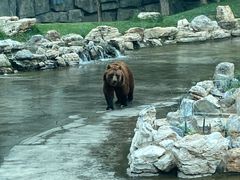 -北京野生动物园