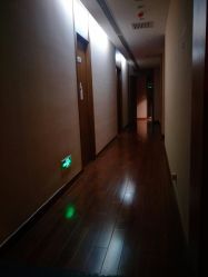-虎杖传说·还元生活馆