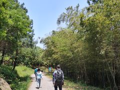 -南京市无想山景区