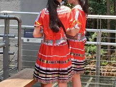 -九龙江国家森林公园