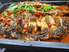 清江鱼-晓鲜熊猫烤鱼烤吧(西三旗百汇北门店)