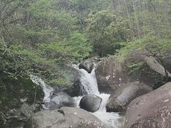 -大围山国家森林公园