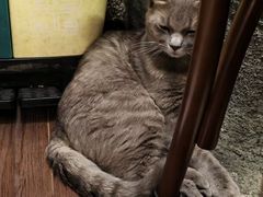 -猫岛主趣味餐厅(鼓浪屿店)