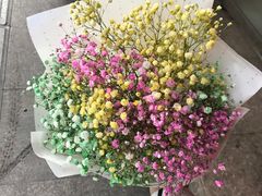 -花未央花店·WEYOUNG