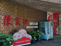 -陈家山荷花公园