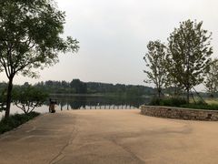 -东郊湿地公园