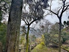 -方岩风景区