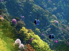 -武陵山森林公园