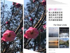-杭州花家山庄