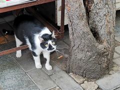 -尤素福东举院饺子馆
