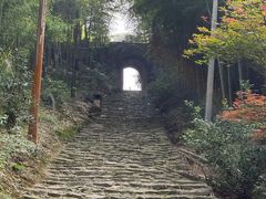 -仙霞关景区