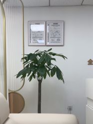 -薇兰专业脱毛连锁机构