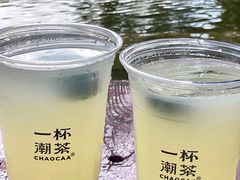 -一杯潮茶·专注潮汕茶饮(朝阳庄店)