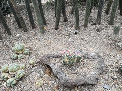 -南山植物园