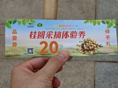 -张坝桂圆林公园