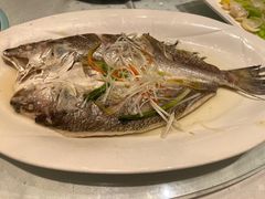 清蒸野生大黄鱼-北门饭店(三香路店)