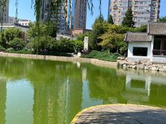 -团结湖公园