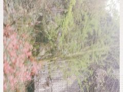 -华蓥山天意谷景区