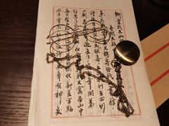 -武汉知音号