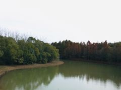 -上海海湾国家森林公园