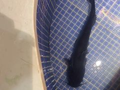 -好灶头铁锅炖(万象城店)