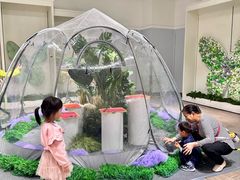 -深圳龙华星河COCO City(民治店)