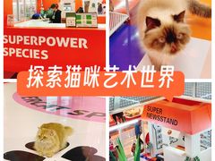 -福田卓悦INTOWN购物中心